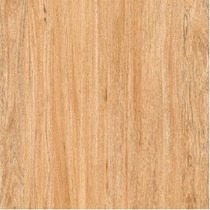 Gạch Prime 60x60 9035