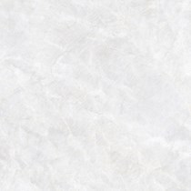 Gạch Prime 60x60 9101