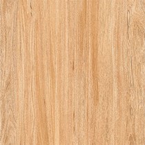 Gạch Prime 60x60 9854