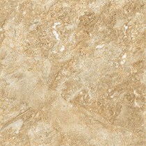 Gạch Prime 60x60 9859