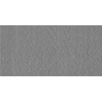 Gạch Taicera 30x60 G63528