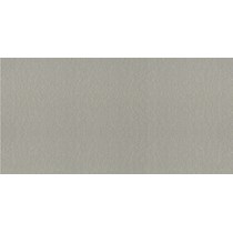Gạch Taicera 30x60 G63548