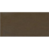 Gạch Taicera 30x60 G63911