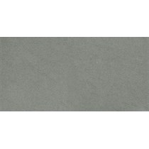 Gạch Taicera 30x60 G63918