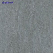 Gạch Taicera 60x60 G68988