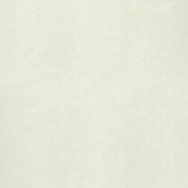 Gạch Taicera 80x80 P87703N