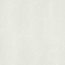 Gạch Taicera 80x80 P87762N