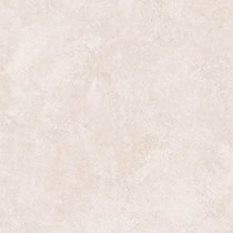 Gạch Tasa 60x60 6404