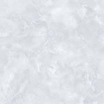Gạch Tasa 60x60 TS 6008