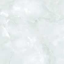 Gạch Tasa 60x60 TS 6009