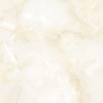 Gạch Tasa 60x60 TS 6010
