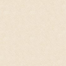 Gạch Tasa 80x80 8001