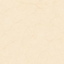 Gạch Tasa 80x80 8101