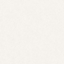 Gạch Tasa 80x80 8102