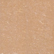 Gạch Viglacera 60x60 TS1-610