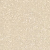 Gạch Viglacera 60x60 TS2-612