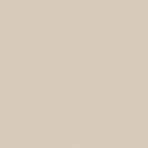 Gạch Viglacera 60x60 TS5-601