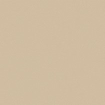Gạch Viglacera 60x60 TS5-602