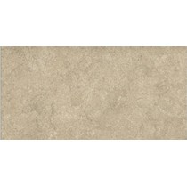 Gạch Vitto 30x60 D226