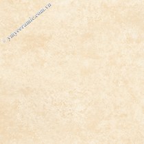Gạch Ý Mỹ 60x60 AC65018H