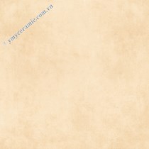 Gạch Ý Mỹ 60x60 N65002H