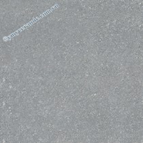 Gạch Ý Mỹ 60x60 N67009