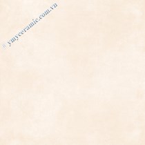 Gạch Ý Mỹ 60x60 P65016H