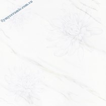 Gạch Ý Mỹ 60x60 P68061
