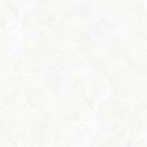 Gạch Ý Mỹ 80x80 P88012