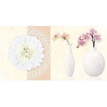 Gạch điểm Vitto 30x60 D206