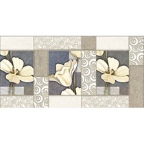 Gạch điểm Vitto 30x60 D225
