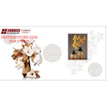 Gạch điểm ốp tường Sunrise 30x60 HV9216