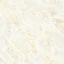 Gạch kỹ thuật số 50x50 Prime 1185