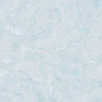 Gạch kỹ thuật số 50x50 Prime 2671