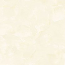 Gạch lát nền Prime 60x60 12046