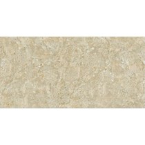 Gạch ốp lát Viglacera 30x60 BS3602