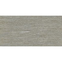 Gạch ốp lát Viglacera 30x60 BS3604