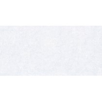 Gạch ốp lát Viglacera 30x60 BS3605