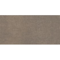 Gạch ốp lát Viglacera 30x60 BS3612