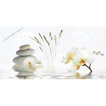 Gạch ốp tường Ý Mỹ 30x60 A36020D