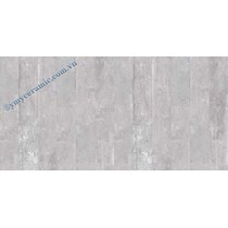 Gạch ốp tường Ý Mỹ 30x60 C36019N