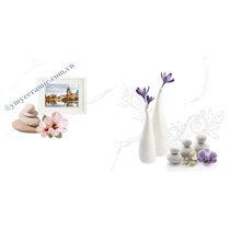 Gạch ốp tường Ý Mỹ 30x60 G36025D