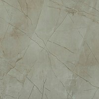 Gạch vi tinh ngọc thạch 80x80 HCT88001J