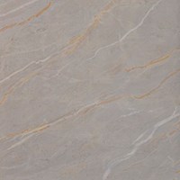 Gạch vi tinh ngọc thạch 90x90 IPG90122