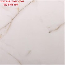Gạch vi tinh ngọc thạch Ấn Độ 80x80 VA8003
