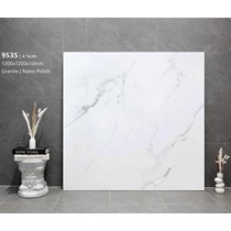 Gạch lát nền Tasa 120x120 9535