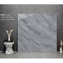 Gạch lát nền Tasa 120x120 9531
