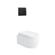 Bồn cầu âm tường Viglacera V55