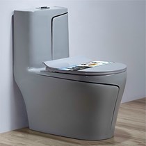 Bồn cầu khối cao cấp BS-8013