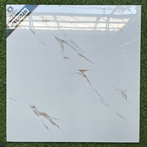 Đá bóng kính giá rẻ 600x600 MK6602N